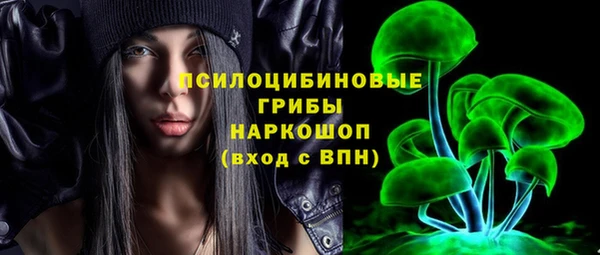 PSILOCYBIN Богородск