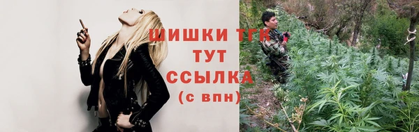 тгк Богородицк