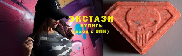 тгк Богородицк