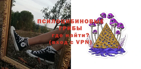 PSILOCYBIN Богородск