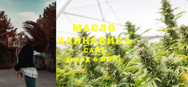 тгк Богородицк