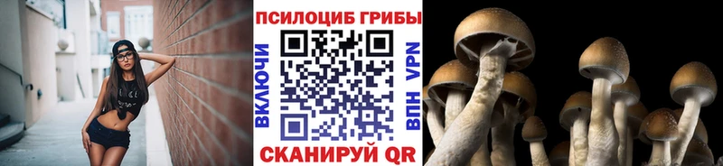 Галлюциногенные грибы Psilocybine cubensis  закладки  ОМГ ОМГ вход  Жуковский 